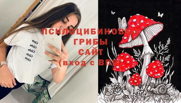 гидропоника Майский