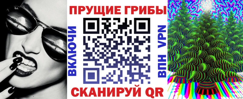 Купить закладки  Тихорецк  Галлюциногенные грибы Cubensis 
